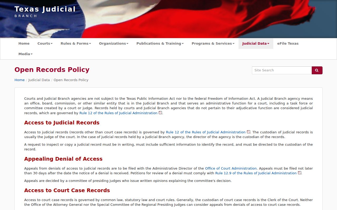 Texas court access policy for Galveston County criminal case records