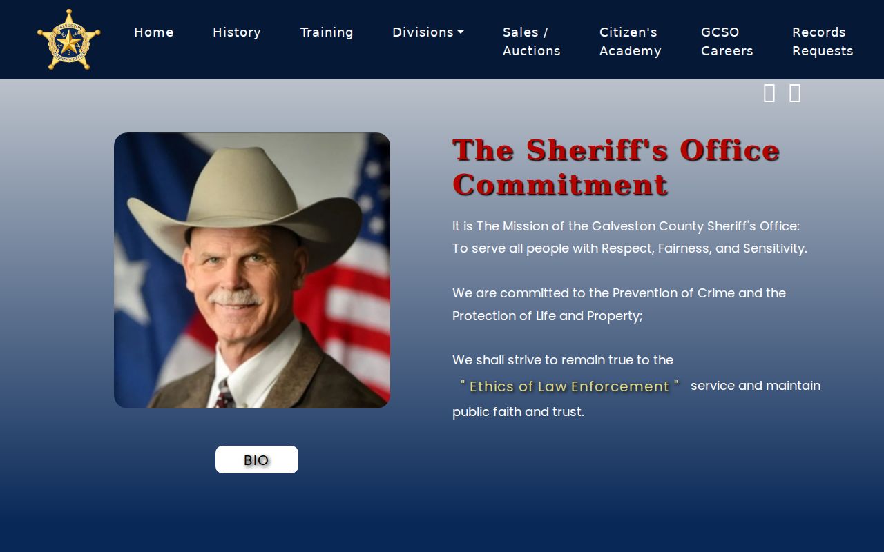 Galveston County criminal history links on the Sheriff's Office website